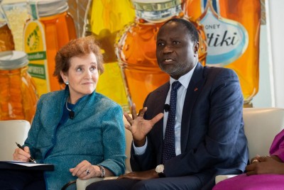 Côte d'Ivoire : New-York, Sangofowa-Coulibaly présente les progrès réalisés par l'État en matière d'énergie et invite le secteur privé à plus de soutien dans l'exploitation du gaz naturel