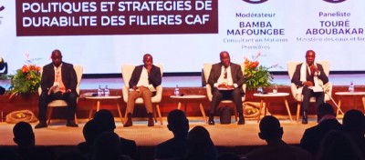 Côte d'Ivoire: Promotion de l'agroforesterie, les jeunes producteurs de cacao s'engagent pour une cacaoculture durable en vue de préserver cette mamelle de l'économie