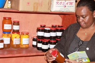 LÂ’ère de la transformation des fruits et légume au Mali