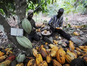 Filière café-cacao : trois journalistes interpellés