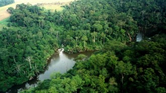 TRIBUNE GABON. Dans les « Hauts-Plateaux », cÂ’est la nuit des longs couteaux !