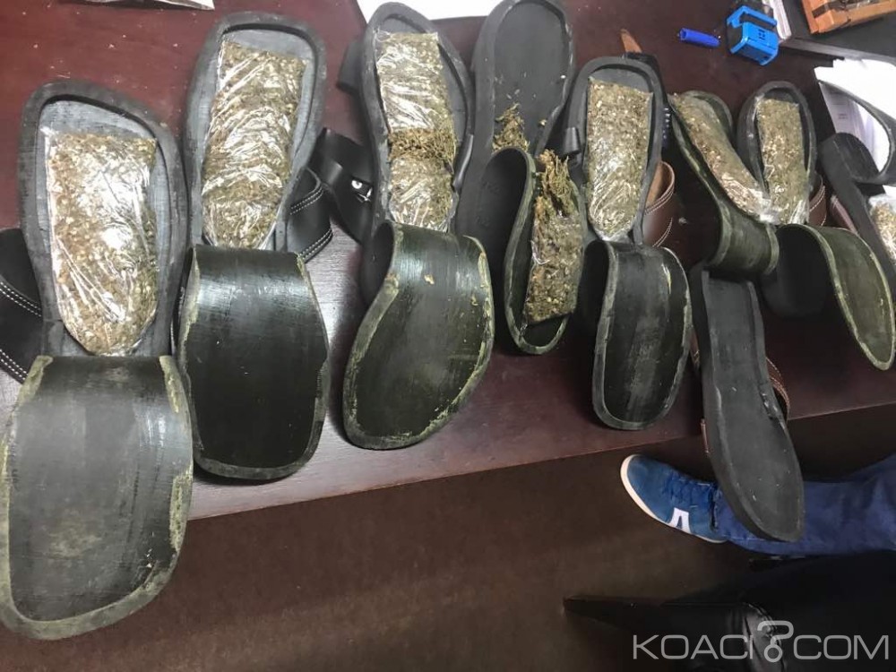 Côte d'Ivoire: Il tentait de faire rentrer du cannabis dans des chaussures à  la MACA