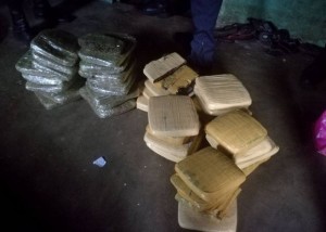 Côte d'Ivoire: Les stups débarquent à  Niangon Adjamé, saisie de drogue et 7 individus interpellés