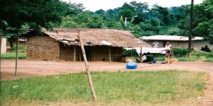 Côte d'Ivoire: Un père et  son fils forment un gang  et attaquent un village, un mort