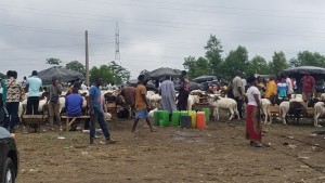 Côte d'Ivoire: Horrible découverte d'un corps décapité à  Adjamé dans un parc à  bétail