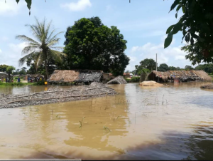 Côte d'Ivoire : Le  Bandama sort de son lit, plusieurs localités inondées