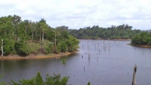 Côte d'ivoire : Trois élèves meurent par noyade à  Béttié (Abengourou)