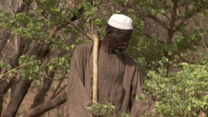 Burkina Faso : Yacouba Sawadogo, l'homme qui a arrêté le désert, lauréat du prix Nobel alternatif