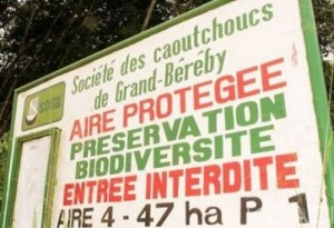 Côte d'Ivoire : Une grève des travailleurs paralyse depuis une semaine  la Société des Caoutchoucs de Grand-Bereby (SOGB)