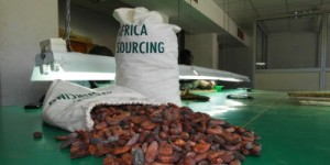 Côte d'Ivoire : Africa Sourcing dément vouloir racheter Saf Cacao en liquidation