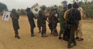 Nigeria: Boko Haram  tue au moins 12 agriculteurs  dans leurs champs