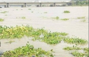 Côte d'Ivoire : Drame au Plateau, un corps sans vie retrouvé à  la gare lagunaire