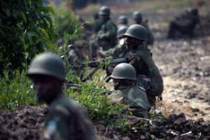 RDC : Surpris  dans une forêt , 17 miliciens abattus par les FARDC au Kasaï