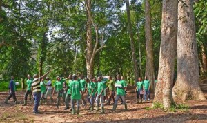 Côte d'Ivoire : Abidjan, avec un investissement de plus de 7 milliards de FCFA depuis 2012, le Parc national du Banco attire 20000 visiteurs par an