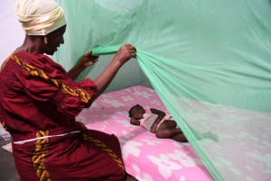 Côte d'Ivoire:  Journée éducative  à  SananKoro