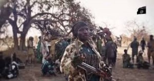 Niger : Une dizaine de jeunes filles  kidnappées par des éléments de Boko Haram à  Toumour