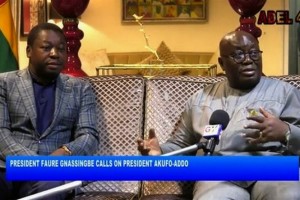 Togo-Ghana : Tour d'horizon entre Gnassingbé et Akufo Addo sur la crise togolaise