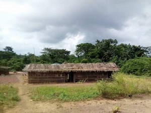 Côte d'Ivoire : Epp Gnonsiobly, une école de fortune en pleine broussaille à  l'ouest